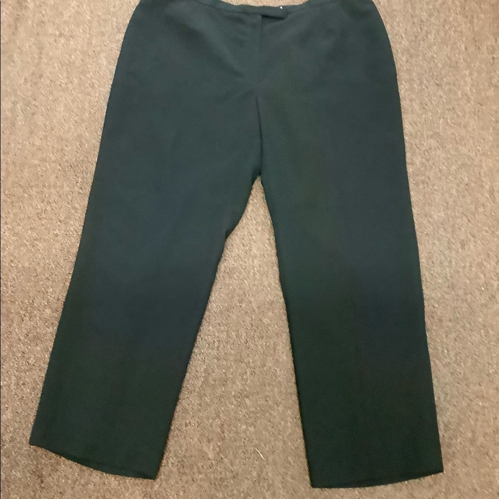 Nipon Boutique woman 24W pants